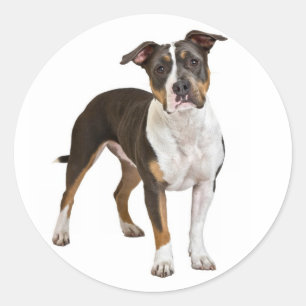 Liefde Amerikaanse Staffordshire Terrier Dog Stick Ronde Sticker