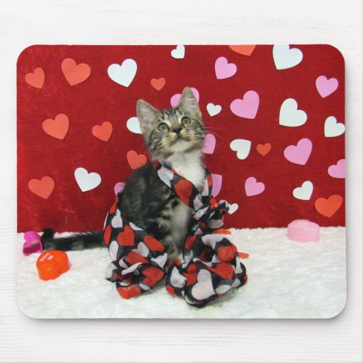 Liefde, Bandit de Tabby Kitten Mousepad Muismat (Voorkant)
