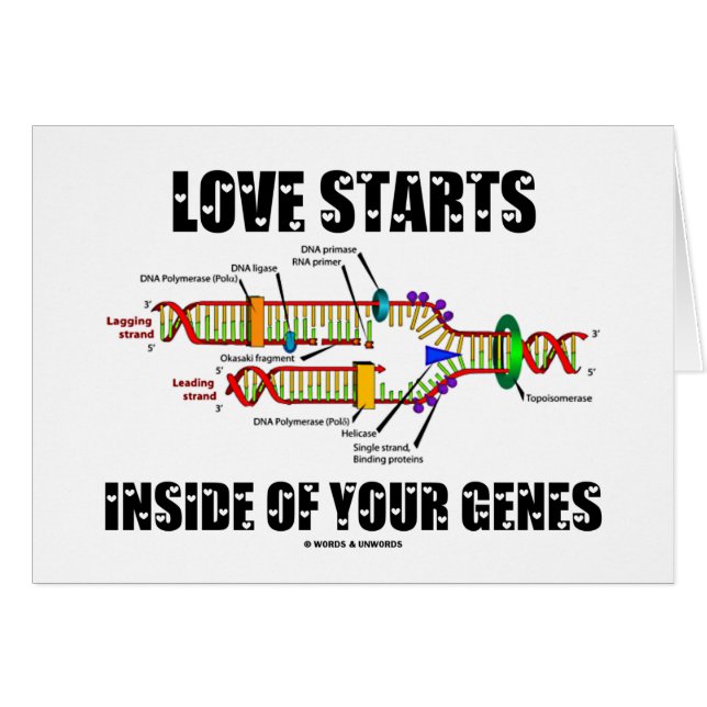 Liefde begint in je genen (DNA-replicatie) (Voorkant Horizontaal)