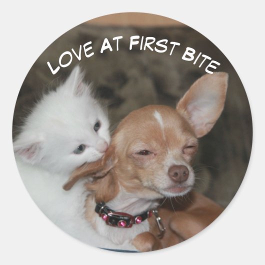 Liefde bijt Kat en puppy Sticker (Voorkant)