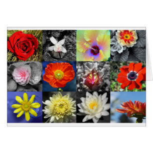 Liefde bloemen Fotografie Collage