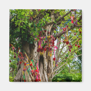 Liefde boom, Zhonghe - Yunnan, China Magneet