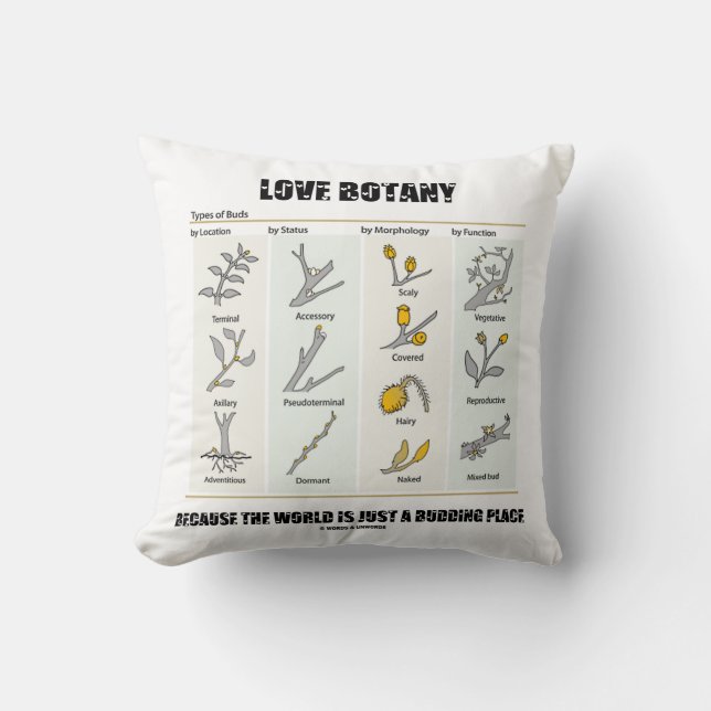 Liefde botany omdat de wereld slechts een bode is kussen (Voorkant)