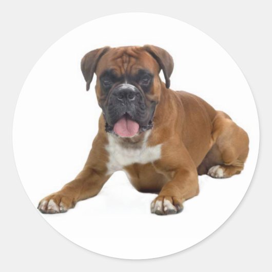 Liefde Boxer Puppy Dog Groet Sticker (Voorkant)