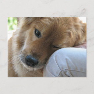 Liefde Briefkaart