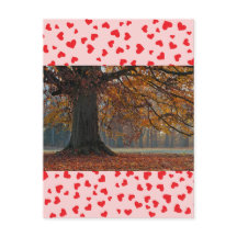 Liefde Briefkaart