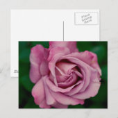 Liefde Briefkaart (Voorkant / Achterkant)