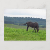 Liefde Briefkaart (Achterkant)