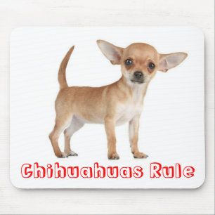Liefde Chihuahua Puppie Hond Muismat
