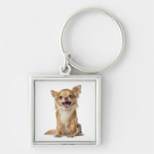 Liefde Chihuahua Puppie Hond Sleutelhanger