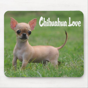 Liefde Chihuahua Puppies Hond Muismat