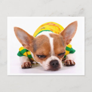 Liefde Chihuahua Puppy Dog Post Kaart