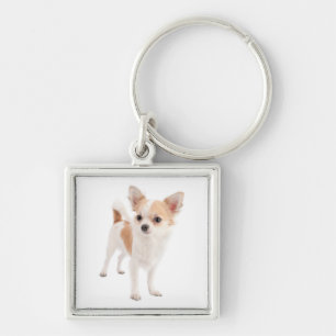Liefde Chihuahua Puppysleutelhanger Sleutelhanger