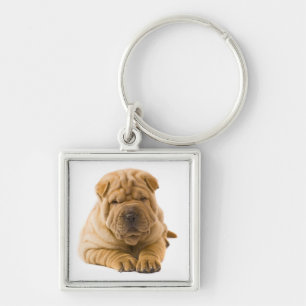 Liefde Chinese Shar Pei Puppies Hond Sleutelhanger