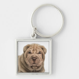 Liefde Chinese Shar Pei Puppieshond Sleutelhanger