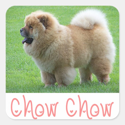 Liefde Chow Puppy Dog Groet Stickers (Voorkant)
