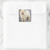 Liefde Chow Puppy Dog Groet Stickers (Tas)