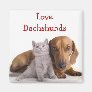 Liefde Dachshund en Kitten Koelkastmagneet Magneet