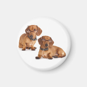 Liefde Dachshund Puppy Hond Koelkast Magneet