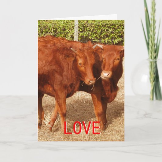 Liefde delen feestdagen kaart (Voorkant)