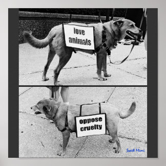Liefde dieren poster