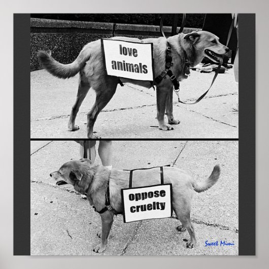 Liefde dieren poster (Voorkant)