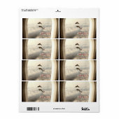 Liefde Dolfijnen adreslabel Etiket (Full Sheet)