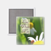 Liefde, droom, hoop lieveheersbeestje magneet (Voorkant / Achterkant)