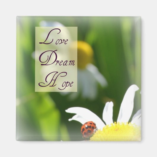 Liefde, droom, hoop lieveheersbeestje magneet (Voorkant)