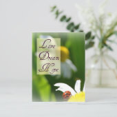 Liefde, Droom, Hoop lieveheersbeestje Post Kaart (Staand voorkant)