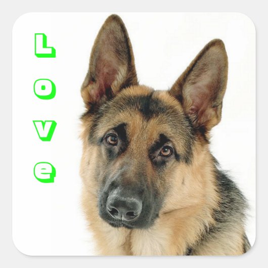 Liefde Duitse Herder Puppy Dog Stickers (Voorkant)