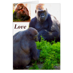 Liefde en bescherming_