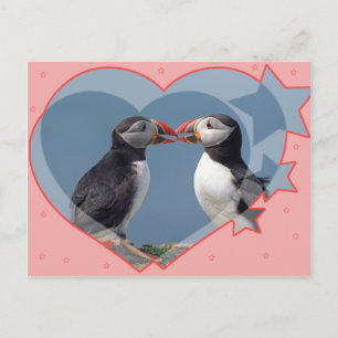 Liefde en vogels briefkaart