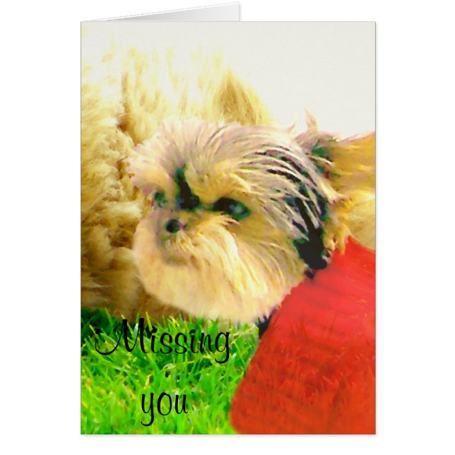 Liefde en zorg, Honden_ (Voorkant)