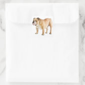 Liefde Engels Bulldog Puppy Dog Canine Sticker (Tas)