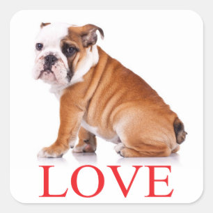 Liefde Engels Bulldog Puppy Dog Sticker / zeehond