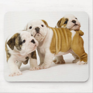 Liefde Engelse Bulldog Puppy Honden Witte Muismat