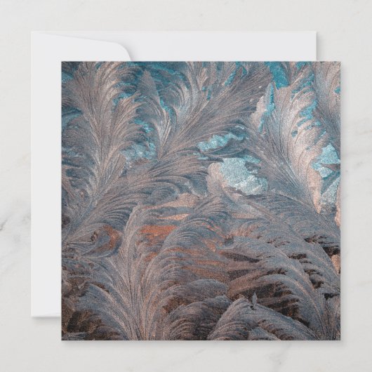 Liefde Flat Bedankt  (Achterkant)