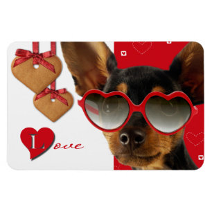 Liefde. Funny Dog Valentijnsdag Gift Magneet