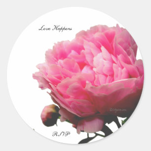 Liefde gebeurt roze pioen aangepaste envelop afdic ronde sticker