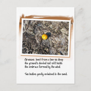 Liefde gedicht en Oranje geslagen Briefkaart