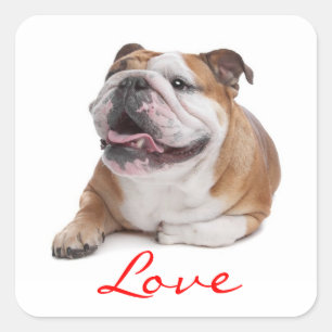 Liefde Happy Bulldog Puppy Dog Sticker