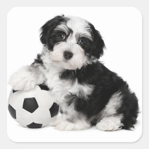 Liefde Havanese Puppy Dog Stickers Seal