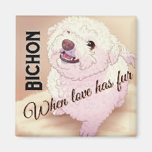 Liefde heeft Bichon vacht
