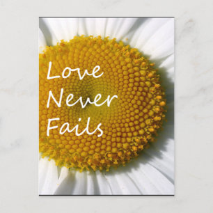 Liefde heeft nooit Daisy 1 Corinthians 13 gefaald Briefkaart