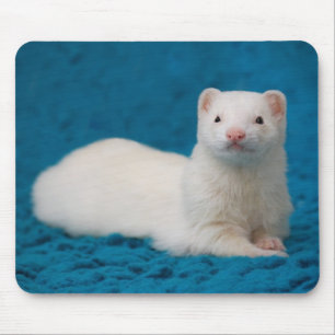 Liefde is blauw muismat