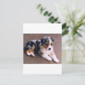 Liefde is, briefkaart (Staand voorkant)