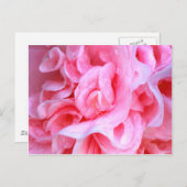 Liefde is_ briefkaart (Voorkant / Achterkant)