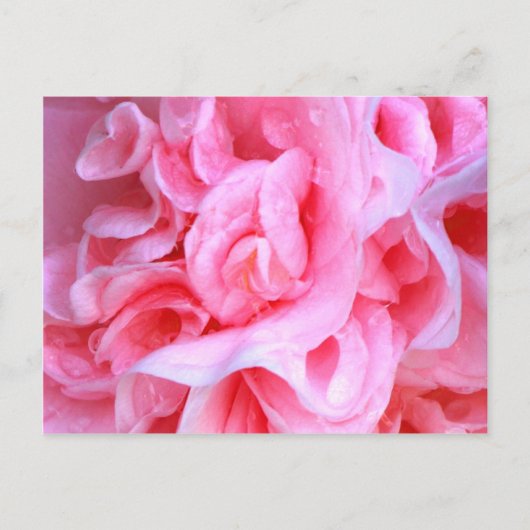 Liefde is_ briefkaart (Voorkant)