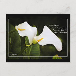Liefde is de enige bloem briefkaart